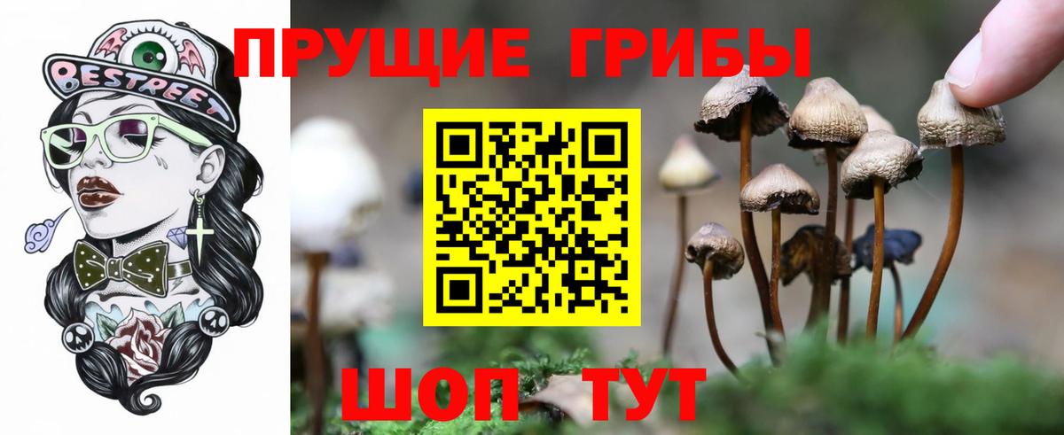 Галлюциногенные грибы мухоморы  Вход с VPN  цена наркотик  Выкса  Галлюциногенные грибы мухоморы 